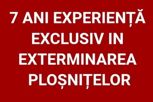 Dezinsectie plosnite de apartament plosnite de pat dezinsecție