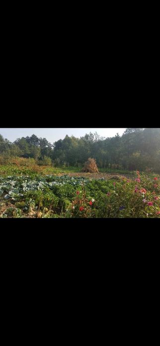 Casa de vănzare in com Preutesti, sat Manastioara jud Suceava