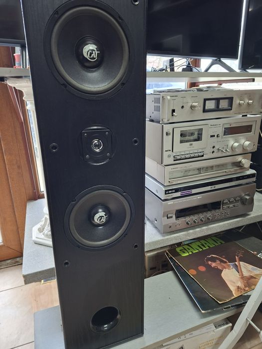 Тонколони  CAT  2х180 вата