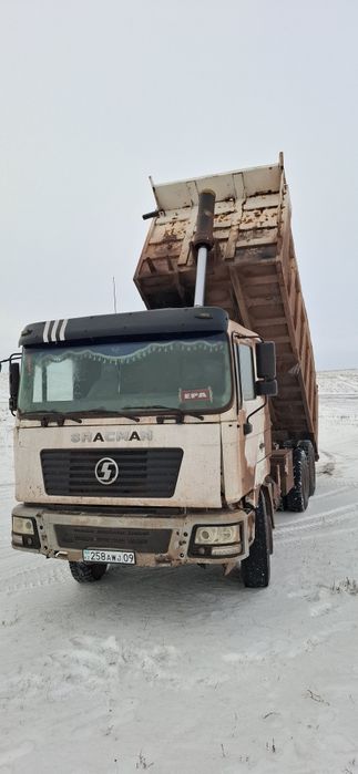 Продам шахман или обменяю на скот