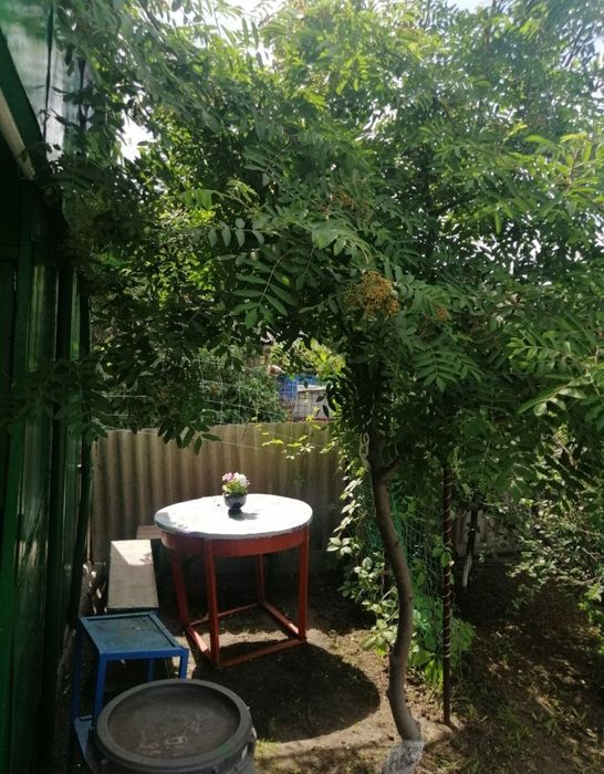 Продам дачу в СО Железобетонщик