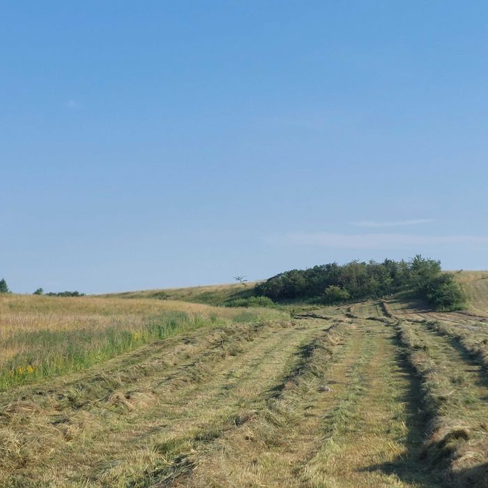 De vânzare baloti dreptunghiulari 2025