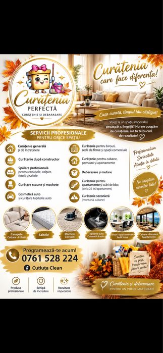 Servicii profesionale de curățenie si debarasare