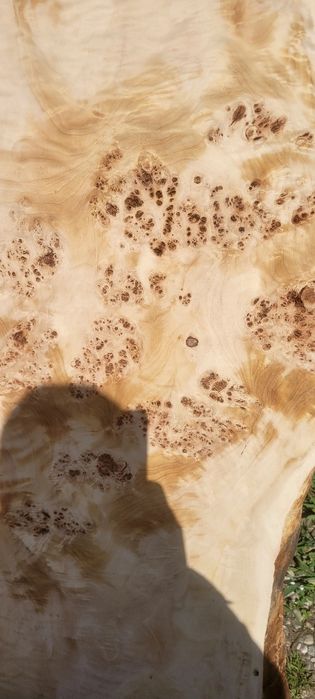 Cherestea plop bubos Premium uscată-plăci mari pentru mese epoxi/rivar