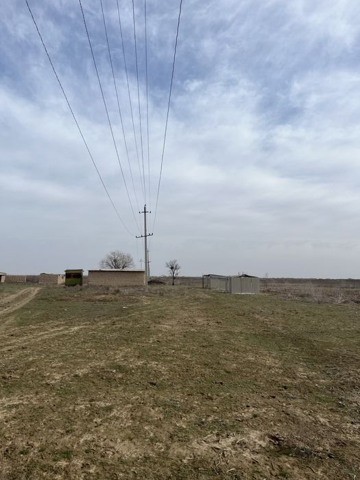 Шорнак Сауран поля