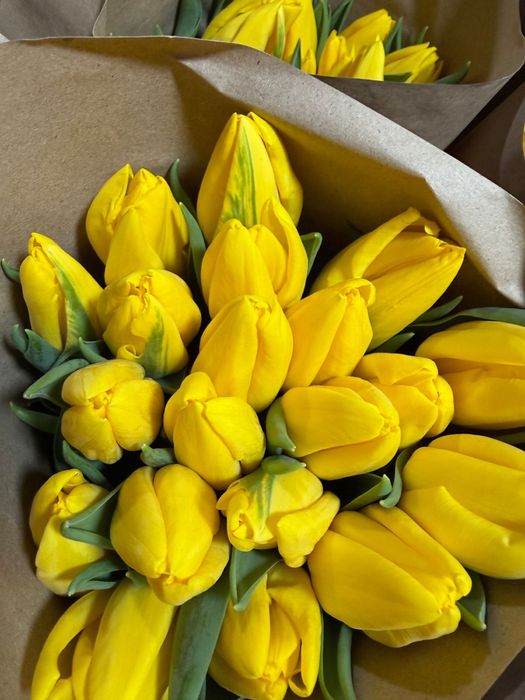 тюльпаны в наличий