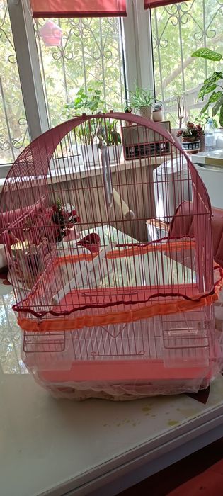 Клетка для попугаев