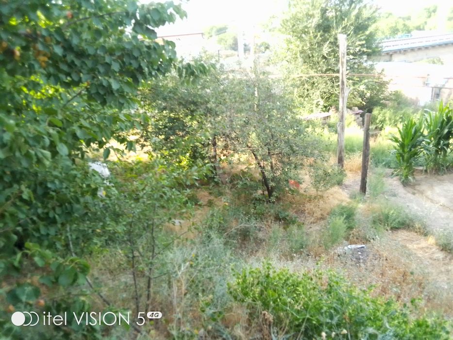 Xovli uy samarqand shaxarda