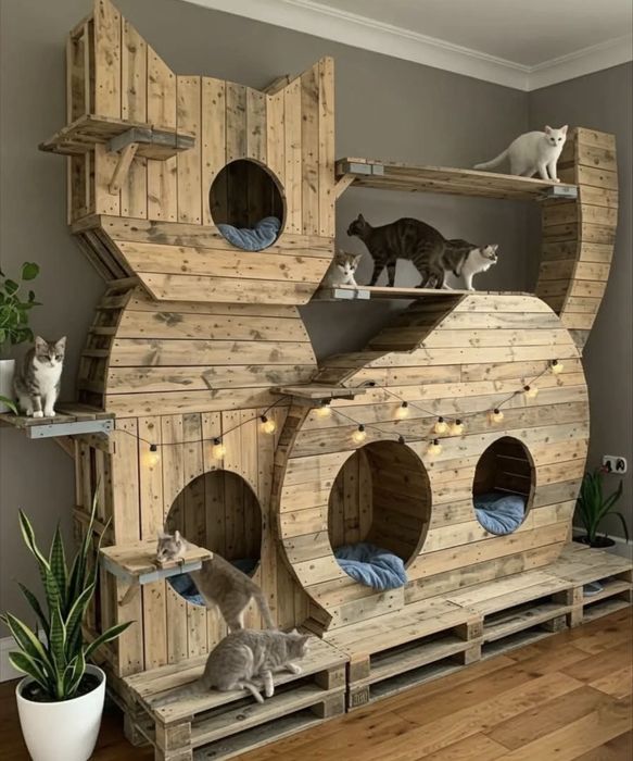 Строим дома для ваших любимых Питомцев