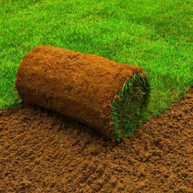 Tayyor gazon ornatish landshaft dizayn xizmati