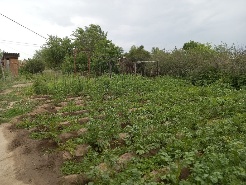 Продам дачу Восточный правый
