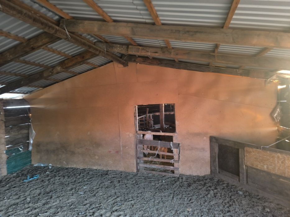 Фазенда 1000 гектар