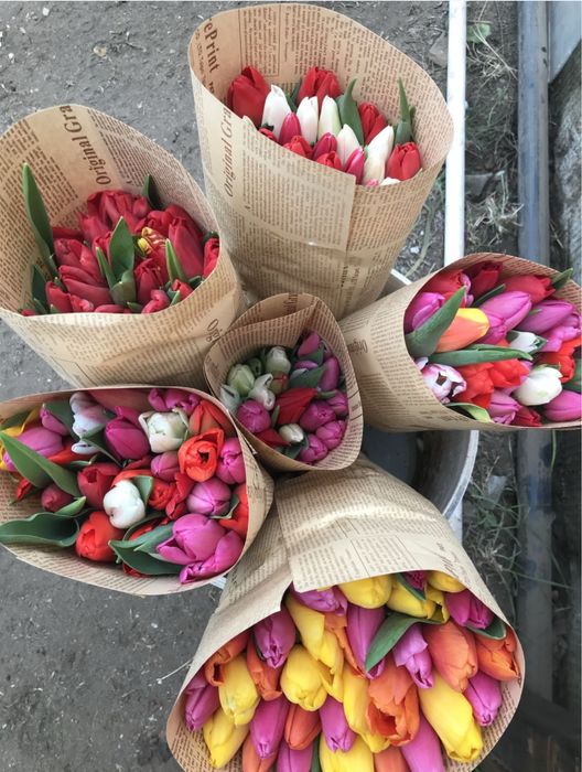 Тюльпаны по оптовый цене 200-250тг