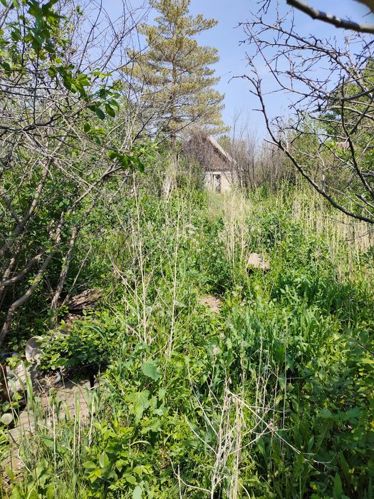 Продам дачный участок