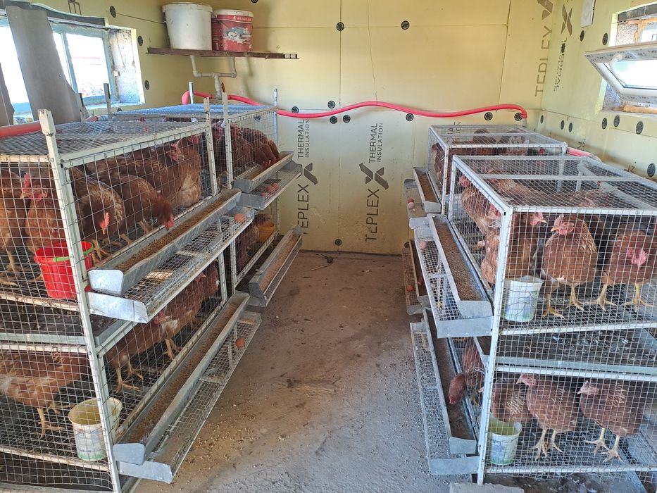 Продам клетку для кур