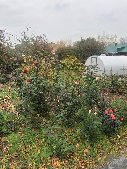 Продам 3х-комнатный дом