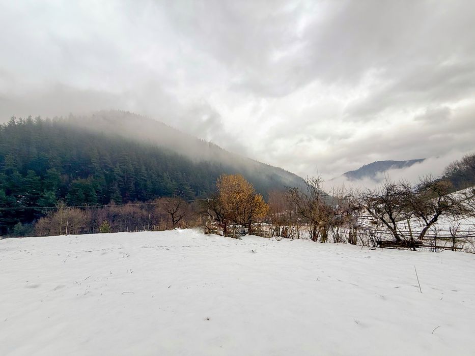 Teren intravilan 2300 mp Paltinis-Valea Stezii Sibiu