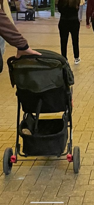 Продам коляску.