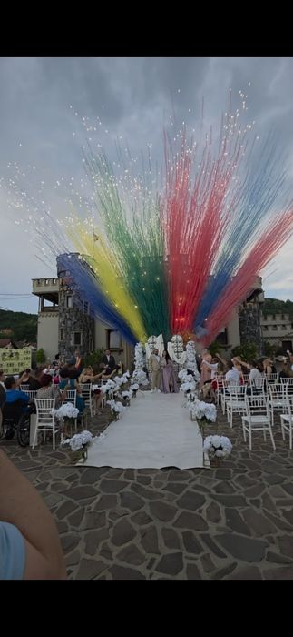 Artificii de ZI - Gender Reveal , Artificii de Noapte profesionale.