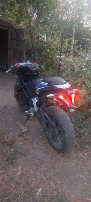 Рейсер Шторм 250