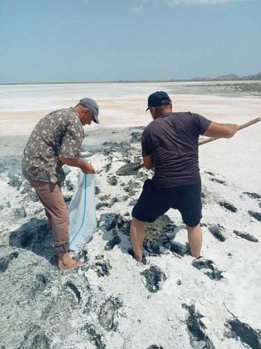 Mineral sho'lko'l shifobahsh balchig'i