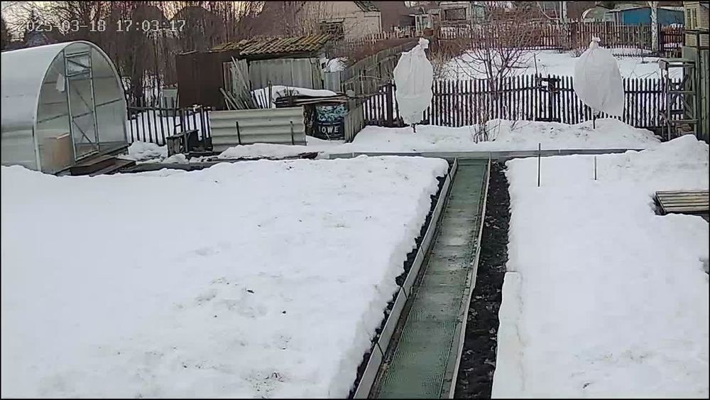 Продам дачу в обществе Ромашка