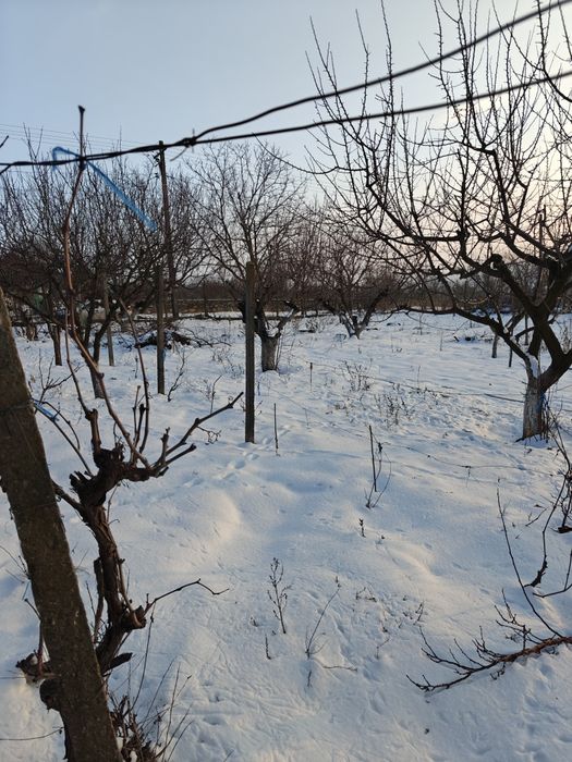 Vand teren intravilan cu casa pe teren  2253mp