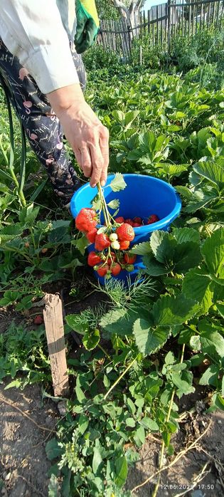 Продаю дачу на правом берегу