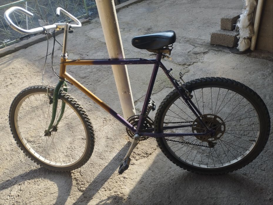 Velosiped skorostnoy