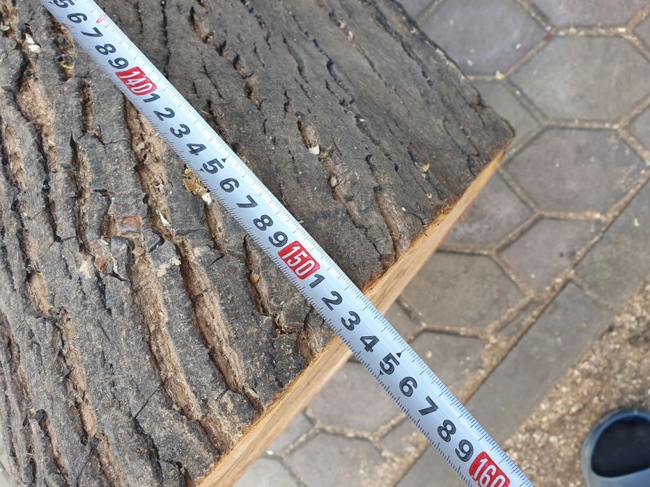 Массив ореха, ствол