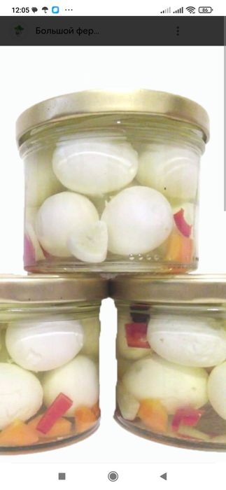 Продам яйца. Перепелов