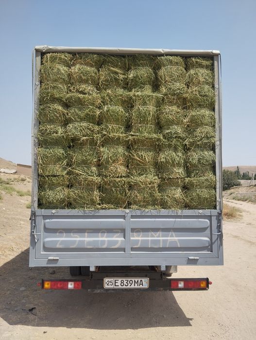 Gazel 2008yil kami bor