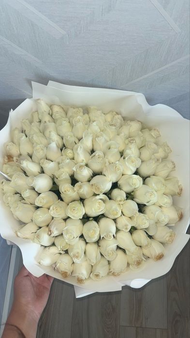 101 роза, белая,