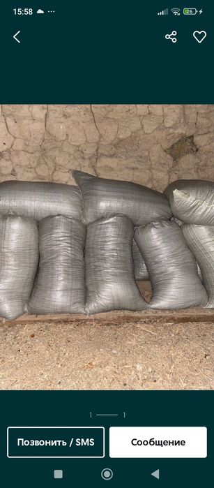 Qoy gongi tozza garantyali