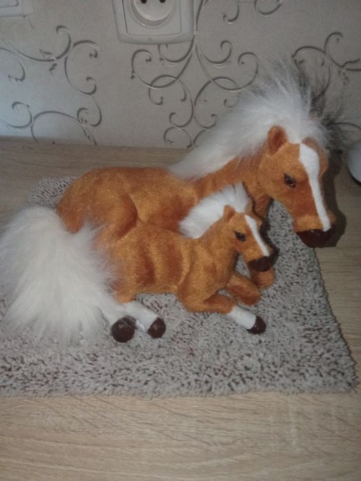 Жылқы   аксесуар