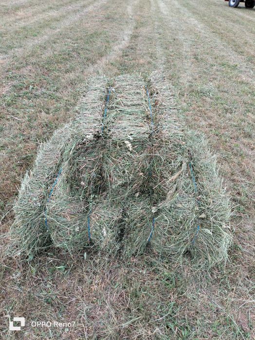 Baloți de fân, otavă și lucernă