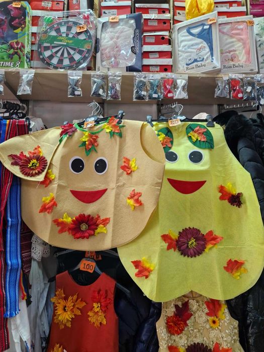 80 lei costum REGELE TOAMNA print ziua recoltei zana ANOTIMPURI rege