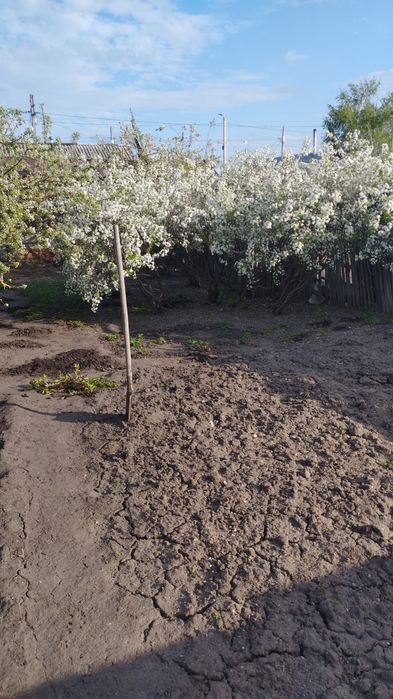 Уборка территории прополка огорода