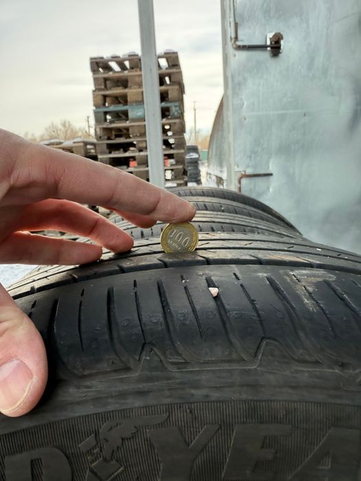 Летние шины Goodyear 225/55/19