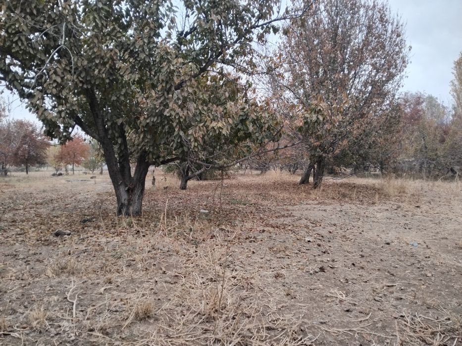 Срочно ер сотилади !