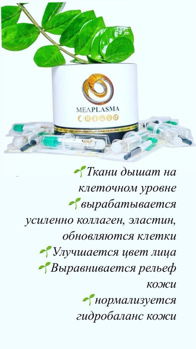 Обучение Меаплазма