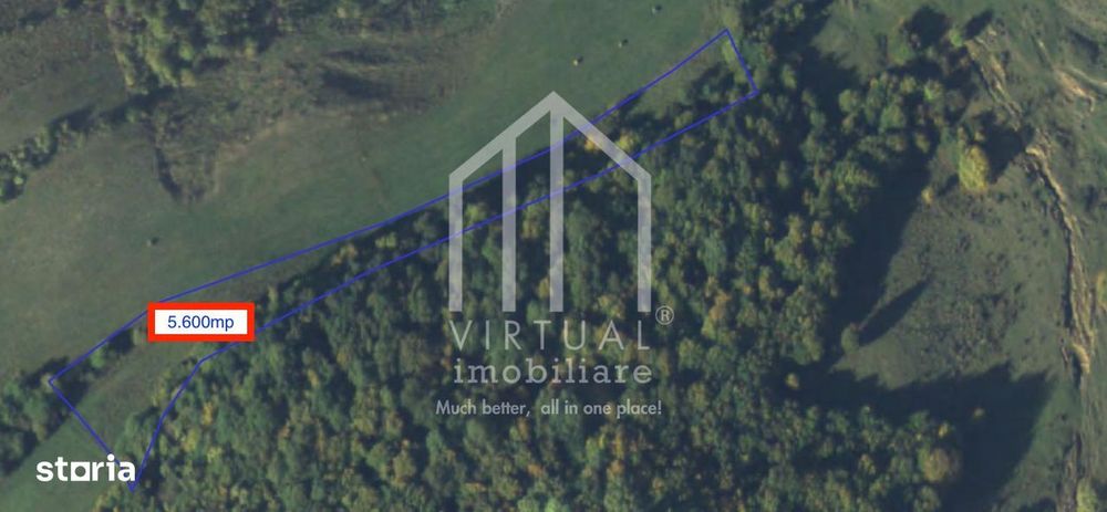 Teren extravilan de vanzare 15,600 mp zona loc... Hamba