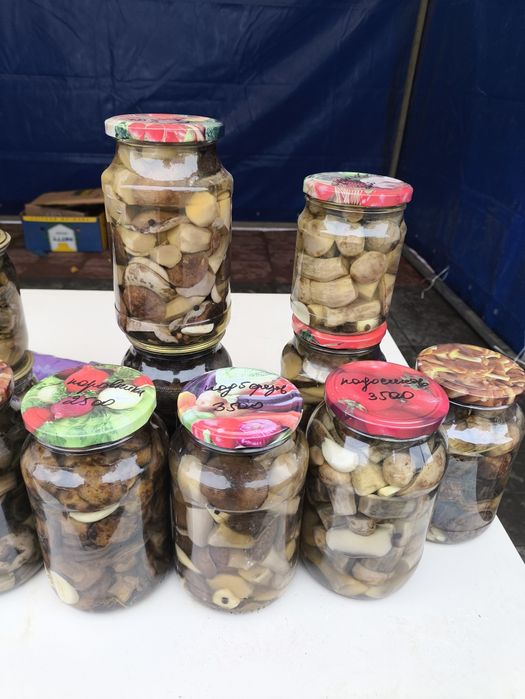 Грибы маринованные