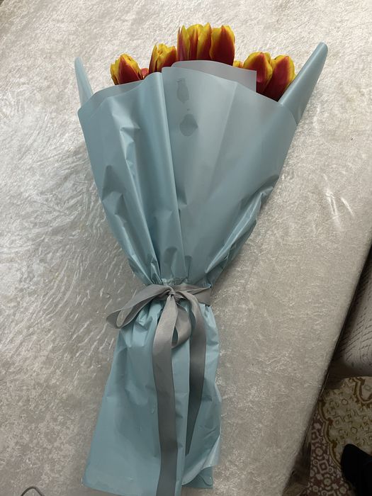 Тюльпан свежиййй