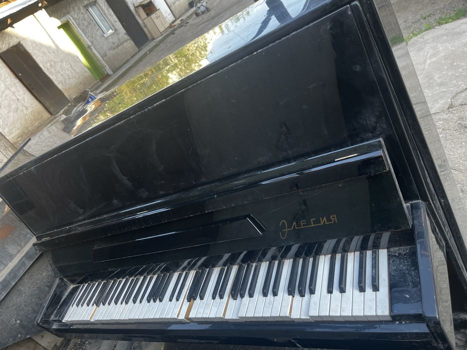 …………………………………………