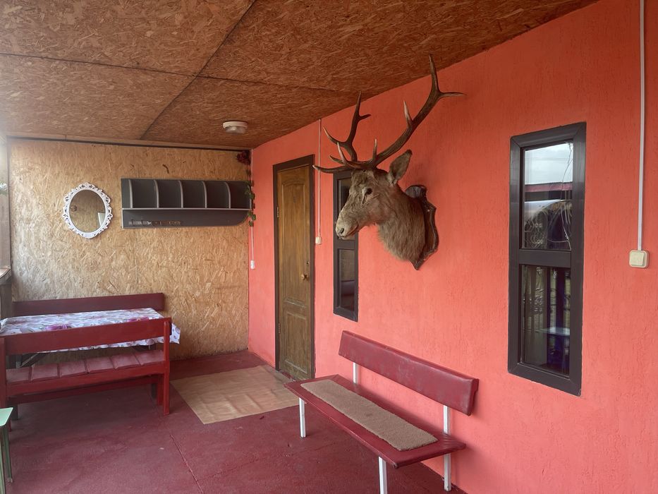 Сдам Домики Дом в Боровом