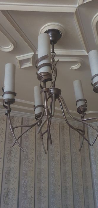 Полюлей Италиански