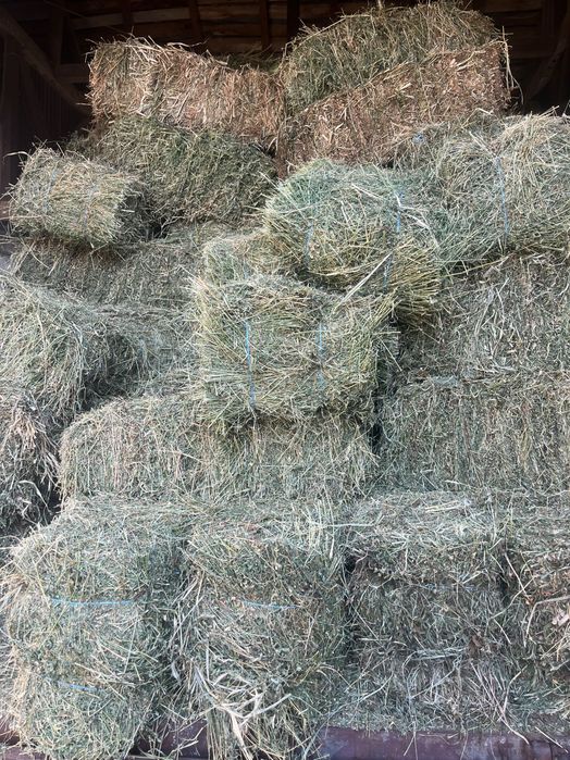 Baloți de lucernă