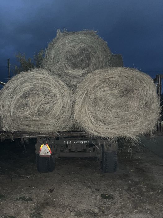 Продам сено рулонах