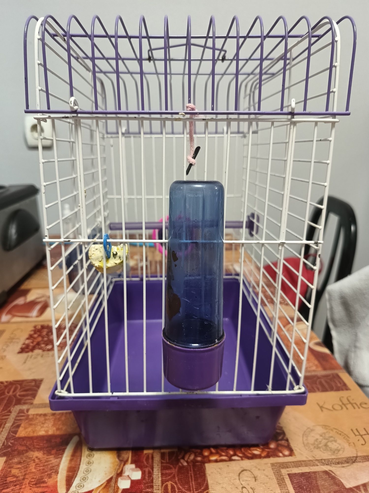 Клетка за папагали гр. Провадия • OLX.bg